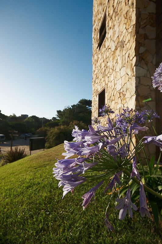 Vinas Del Mar Apart & Spa Aparthotel Las Gaviotas Exterior photo